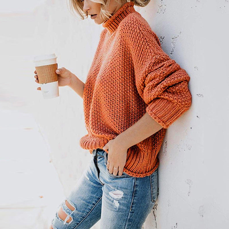 Turtleneck Textured Cozy Women Sweater