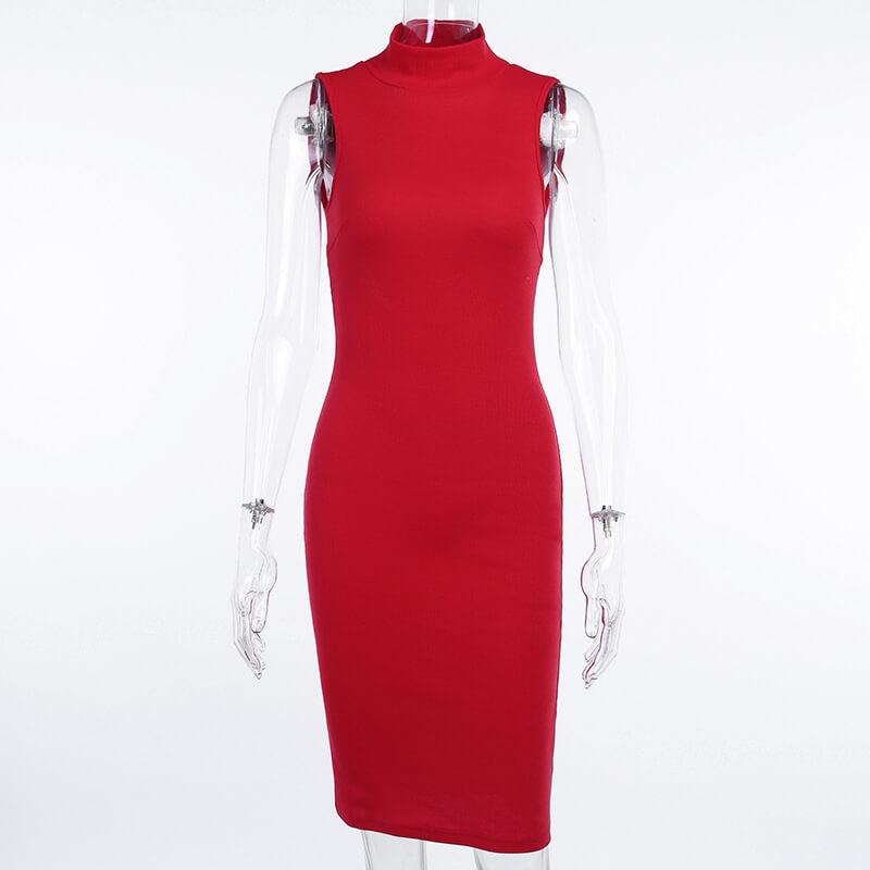 Turtleneck Sleeveless Bodycon Dress