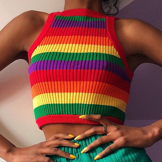 Knitted Rainbow vest