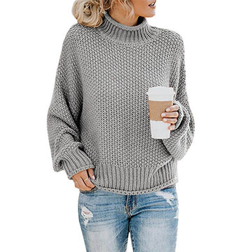 Turtleneck Textured Cozy Women Sweater