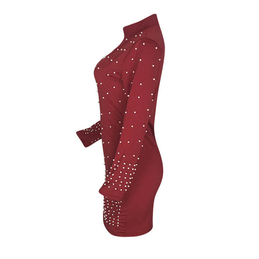 Turtleneck Beaded Knit Bodycon Dress