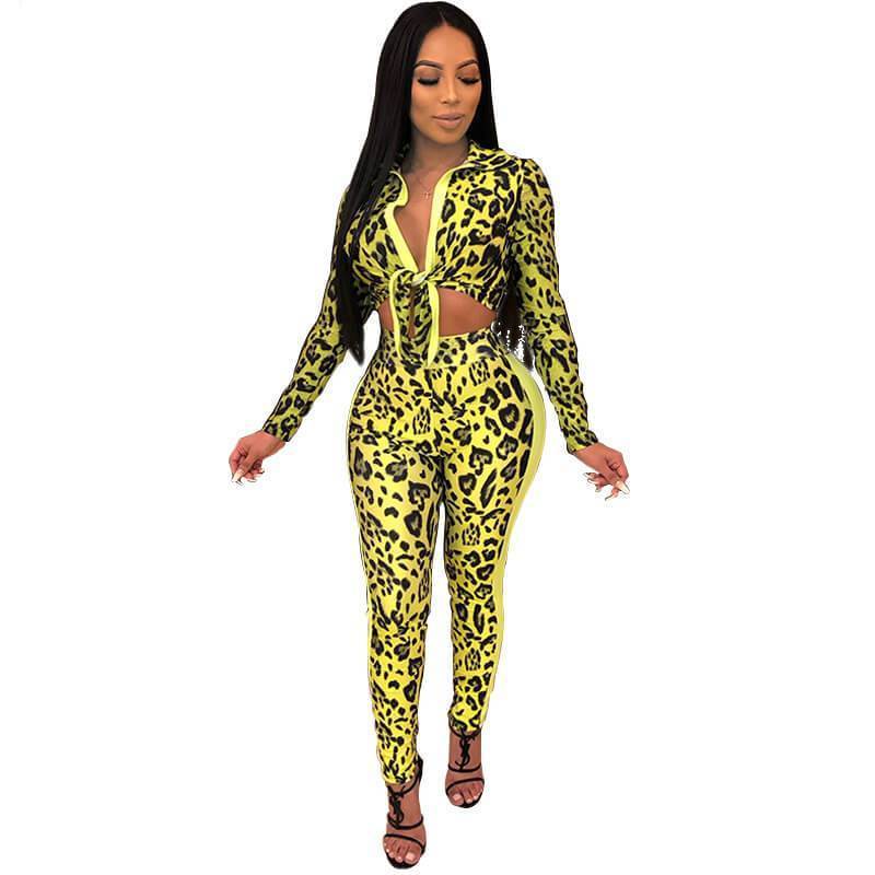 Print Deep V-neck Crop Top High Waist Skinny Pants Set