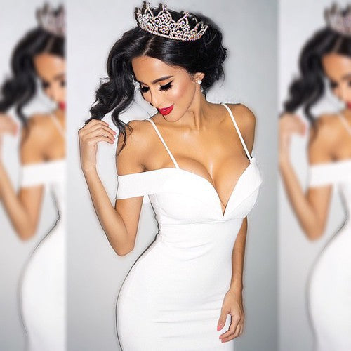 Spaghetti Straps Deep V-neck Mermaid Long Party Dress