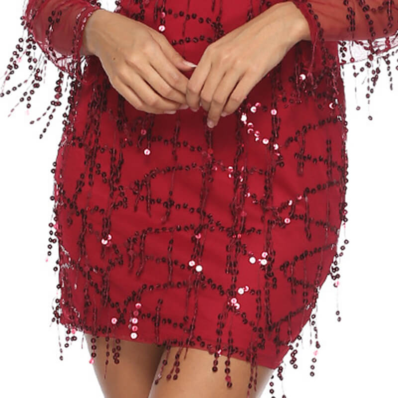 Sequin V Neck Fringe Short Dress