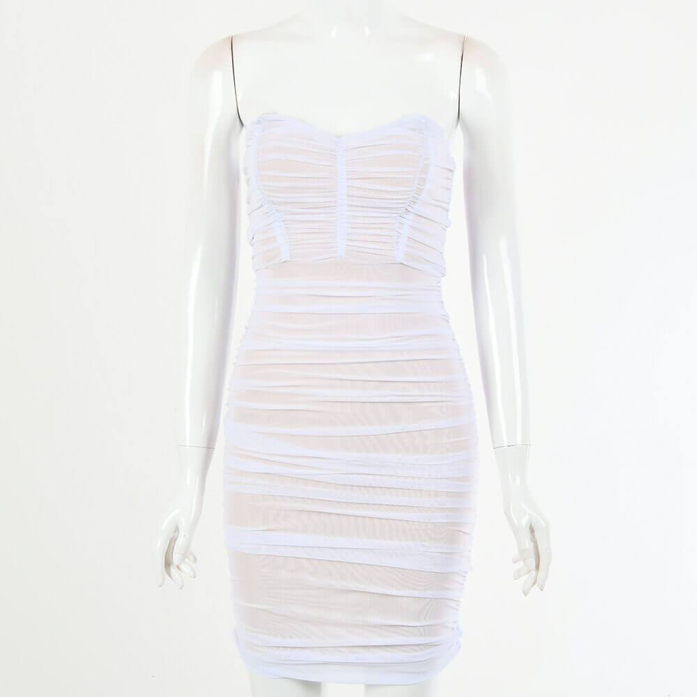 See Through Tube Skinny Bodycon Dress