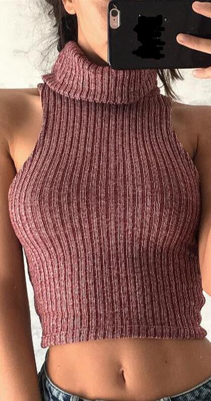 High Neck Ribbed-Knit Sleeveless Short Crop Top