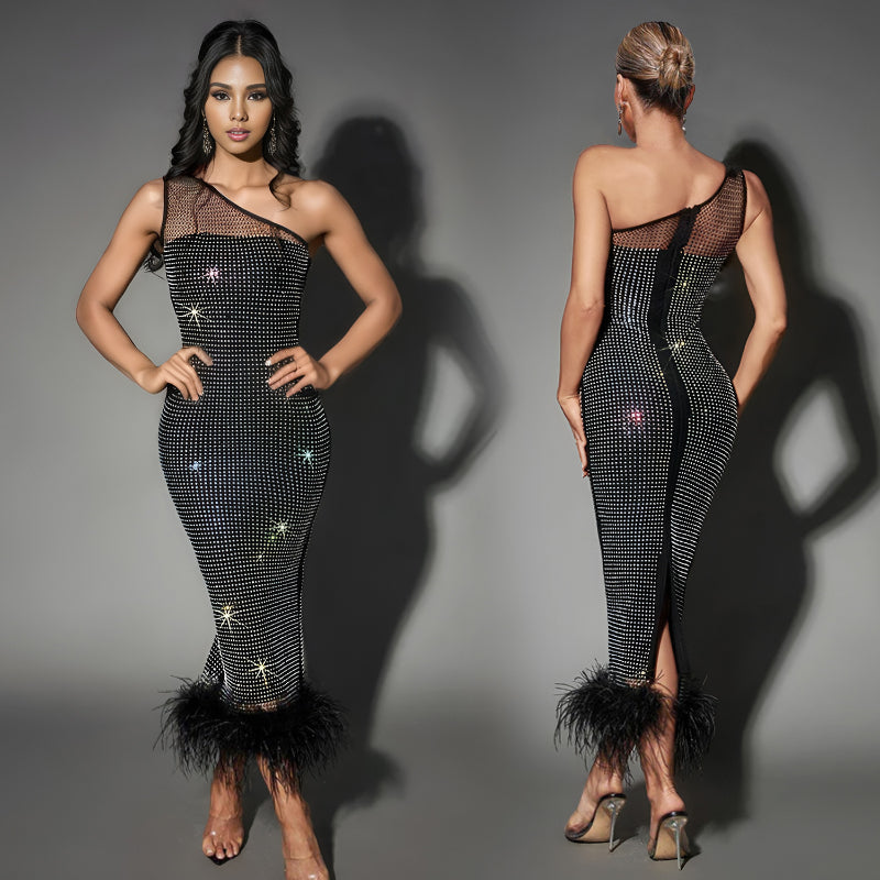 Fashionable Dress | Mesh Sequin Dress | Feather Dress