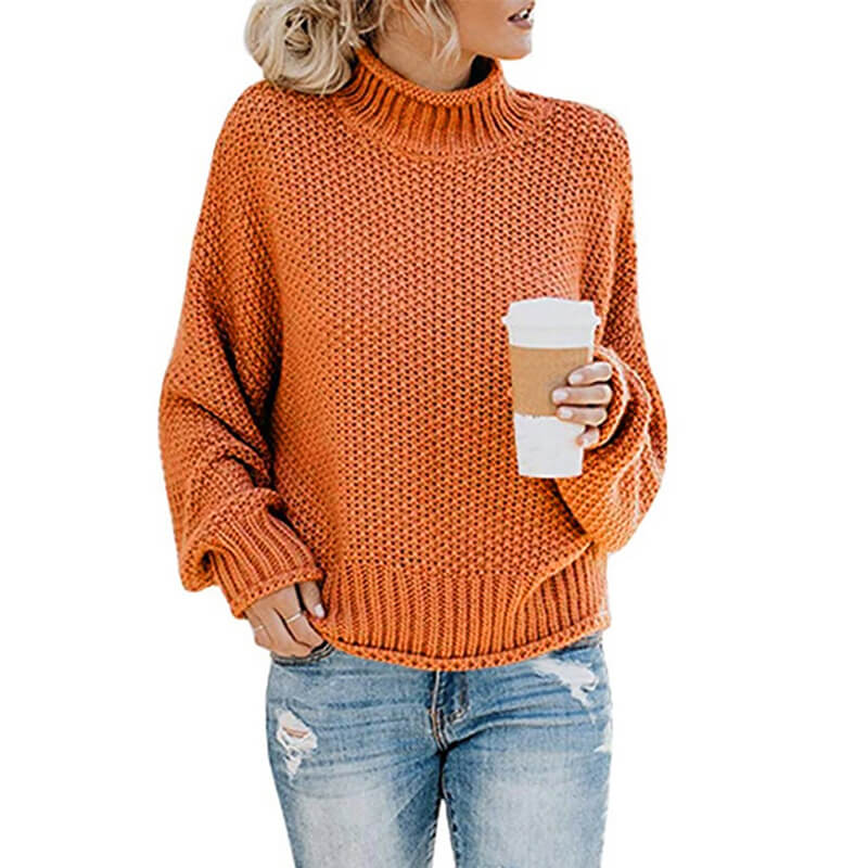 Turtleneck Textured Cozy Women Sweater