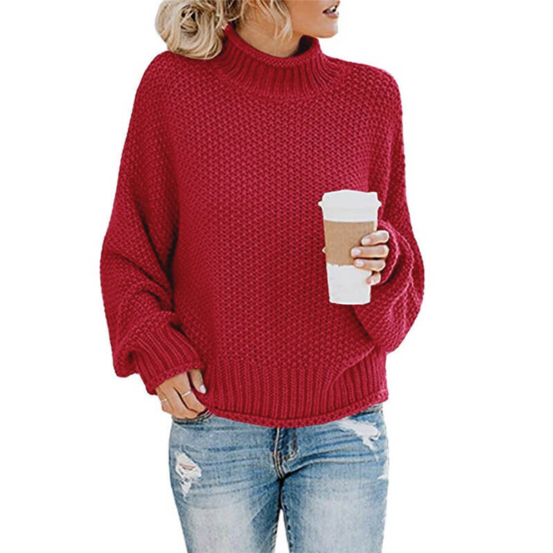 Turtleneck Textured Cozy Women Sweater