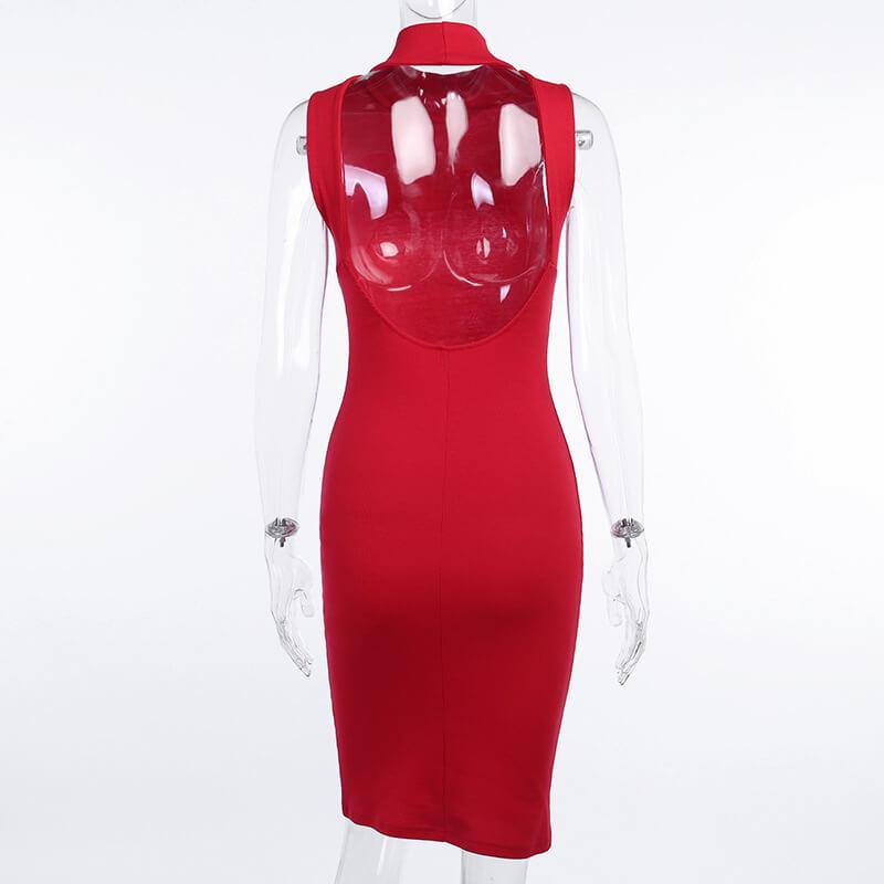 Turtleneck Sleeveless Bodycon Dress