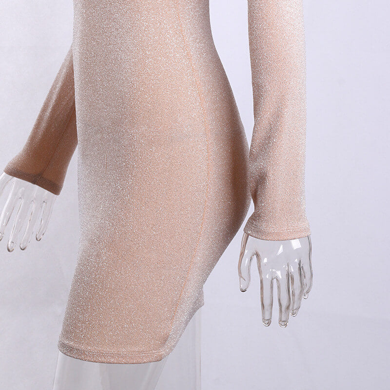 Sparkle Bodycon Short Dress