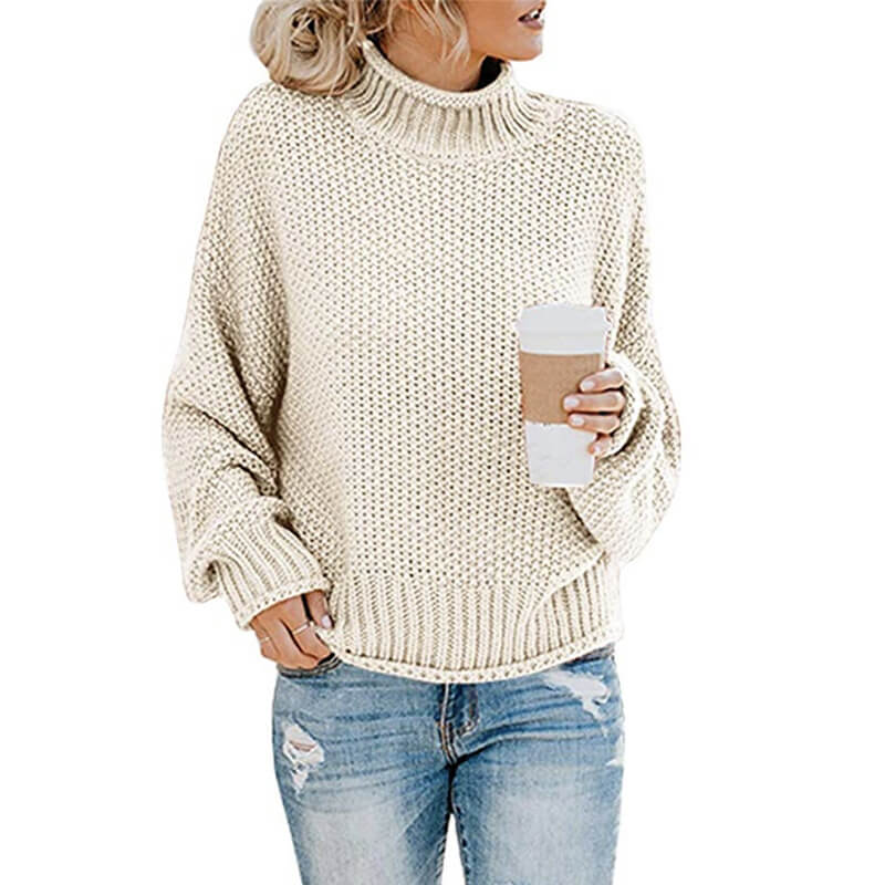 Turtleneck Textured Cozy Women Sweater